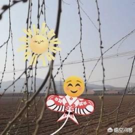 四月份哪几首歌曲很火？