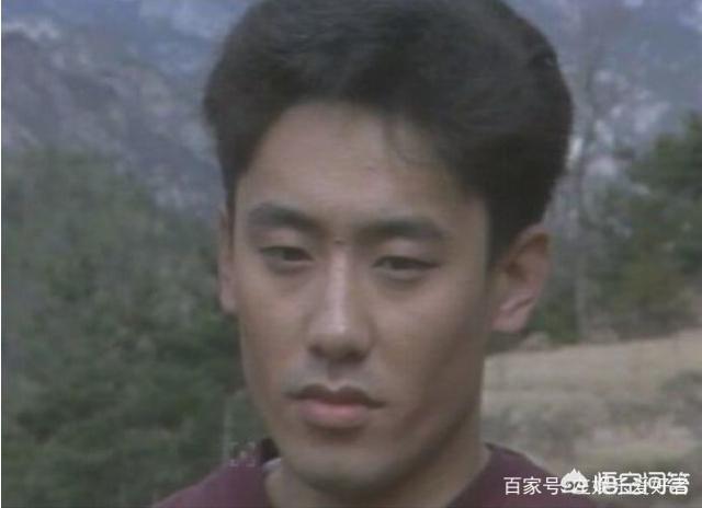 寇振海前妻:有哪些演员虽然是内地人但给人的感觉是港台或者日韩演员的？