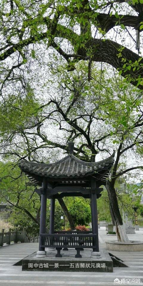 马丽升级当妈:如何看待与何猷君刚结婚3个月，奚梦瑶就升级当妈了？