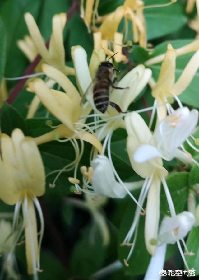 星座不合怎么办,和女朋友星座不合怎么办？