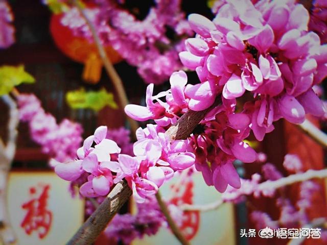 星座不合怎么办,和女朋友星座不合怎么办？