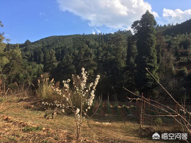 稳住所有情绪:如何平复自己的心情，让自己天天开心，不过度紧张？(如何让自己喊广播不紧张)