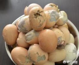 活珠子的营养价值和危害，江苏人最喜欢吃的活珠子与旺鸡蛋有什么区别吗它们好吃吗