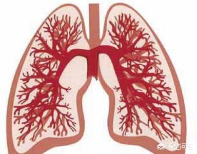 肺气肿是怎么回事：肺气肿是怎么回事啊会有危险吗