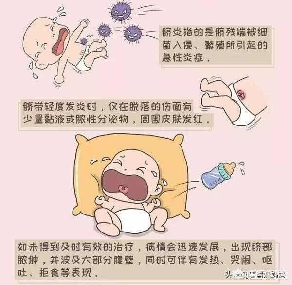 增效联磺片治不治球虫:“球虫”反反复复，该咋办？