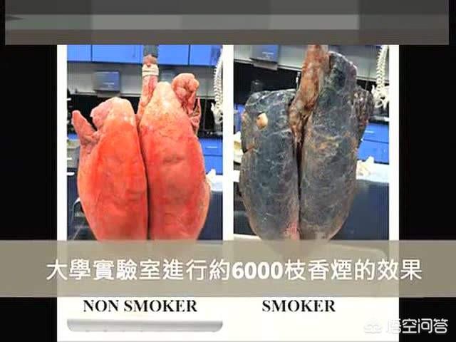张艺兴户外吸烟:这一届网友对明星抽烟都那么苛刻你觉得身为公众人物应该抽烟么