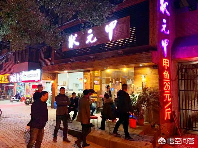水鱼图片:请问高手钓甲鱼，诱饵怎么配？