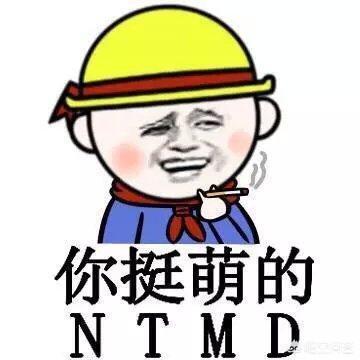 微信聊天表情包:哪些人聊天经常用表情包？(微信日常聊天表情包)