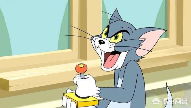 动画片《猫和老鼠》中的汤姆是一只什么猫？为什么？