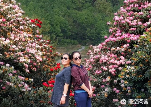 姜潮回应九连拍:为什么有些大妈拍照喜欢戴墨镜披纱巾？