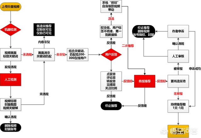 抖音的推荐算法是怎样的？
