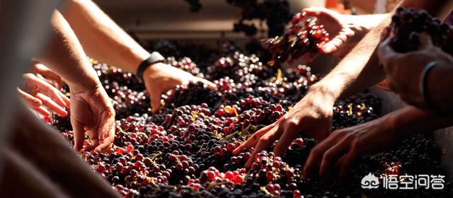 普特尼山庄园葡萄酒，法国酒庄在酿造红酒时，允许加糖吗