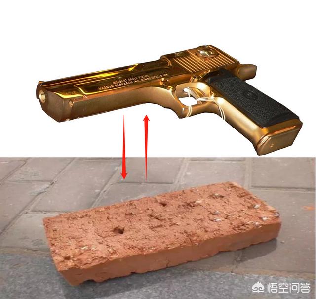 杀人鹰:《追鹰日记》里的死的那只鹰是哪只？它为什么会死？