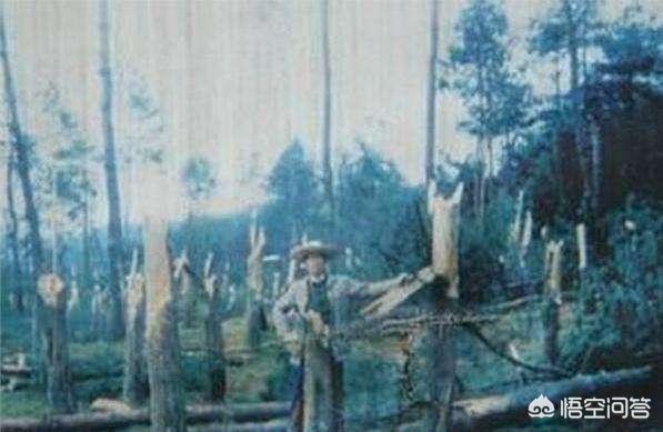 上海ufo:你相信有外星人，ufo吗？相信的人不在少数。怎么看待？