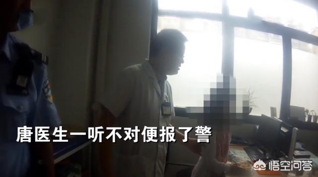 离家的猫儿子:离家23年的儿子 为什么有的猫咪在长大后会选择离家出走？