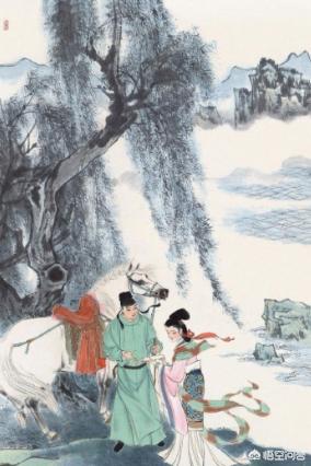 杨柳之:杨柳树是两个不同的品种？为什要叫杨柳树？它们有什么区别？