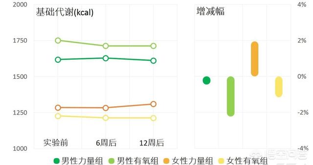 脂肪代谢过程，人体内物质代谢转化过程？