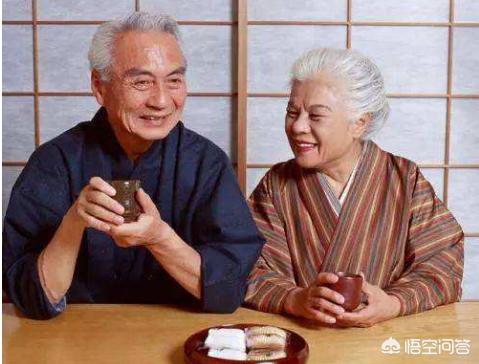日本截尾猫:日本截尾猫图片 日本人现在对啥事物还有兴趣？