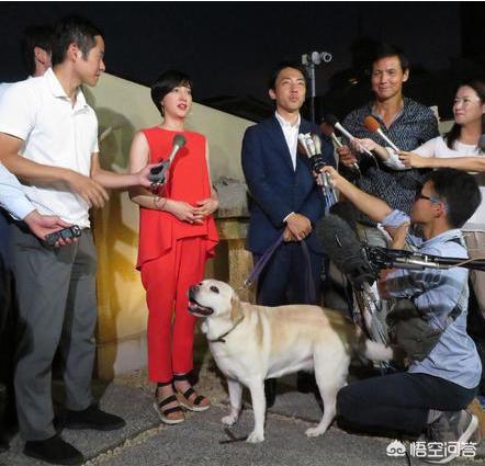 小泉纯一郎:小泉是不是日本的前一任首相？