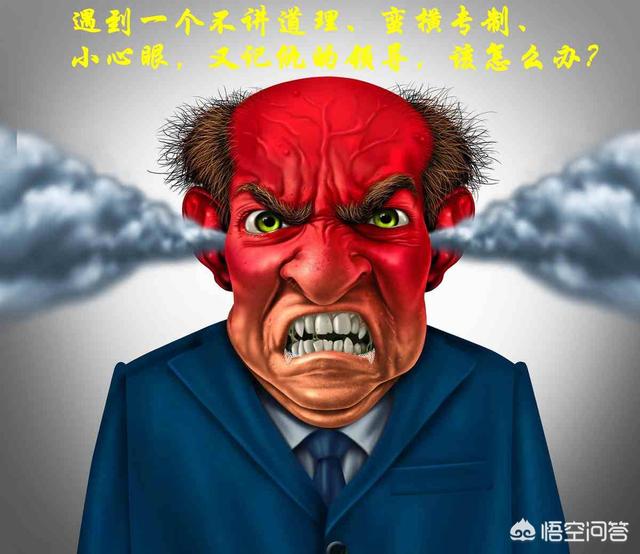 如果遇到一个不讲道理,蛮横专制,而且还小心眼,又记仇的领导该怎么办？