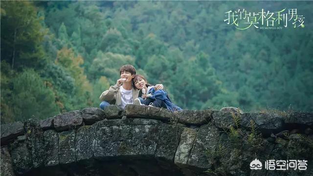 莫格利:如何评价杨紫的新剧《我的莫格利男孩》