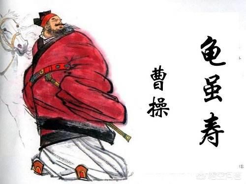龟虽寿:“神龟虽寿，犹有竟时”是什么意思，告诉我们什么道理呢？