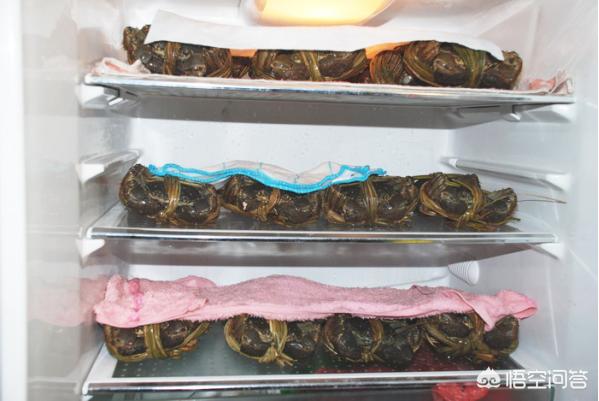 螃蟹 保存:朋友送我一箱活螃蟹，都是捆绑好在泡沫箱中，请问该如何保存？