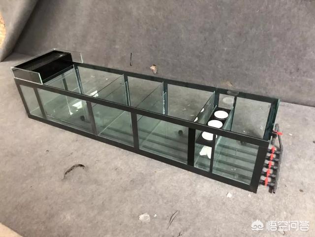 024观赏鱼自由交易车安全:什么样的鱼缸滤材比较好？