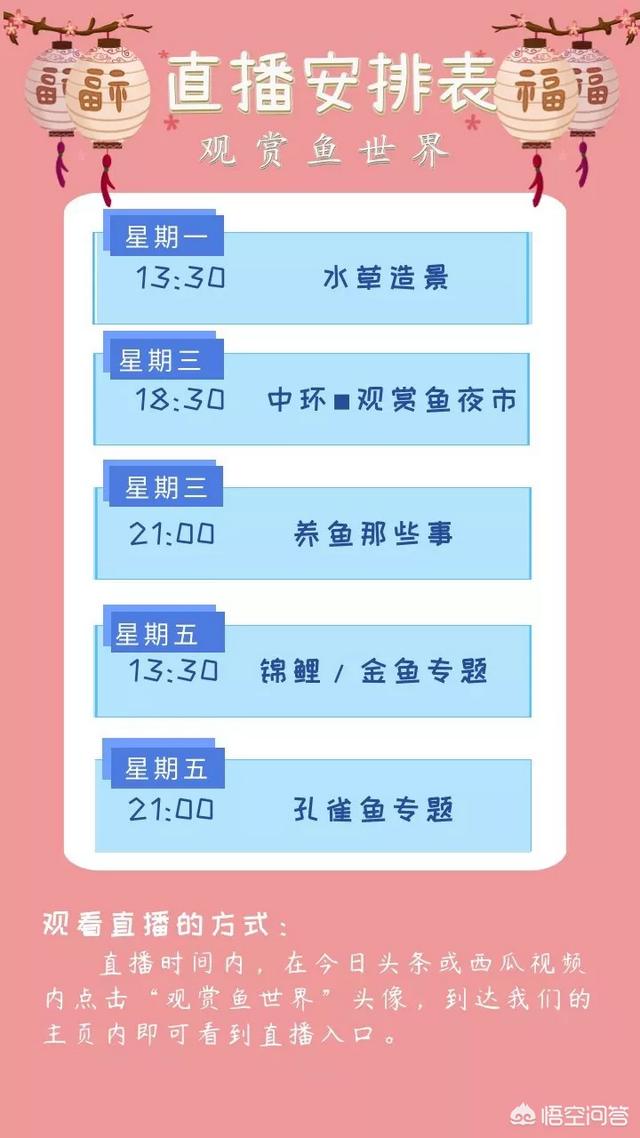 024观赏鱼自由交易车安全:什么样的鱼缸滤材比较好？