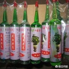 水培植物营养液配方:水培营养液的原料在哪里可以买到？