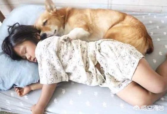 女孩子养狗的坏处:有了宝宝后真的不能养狗吗，为什么？