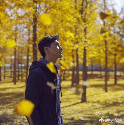 赵雅芝新剧《不完美的她》开播了，觉得好看吗