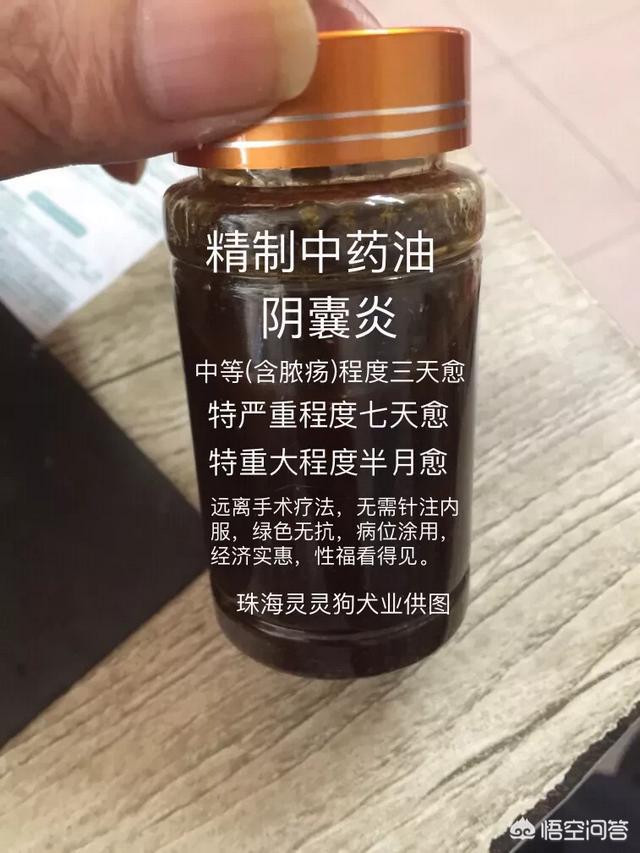 犬瘟热后期抽搐几天:狗狗犬瘟初期到中期是多久？