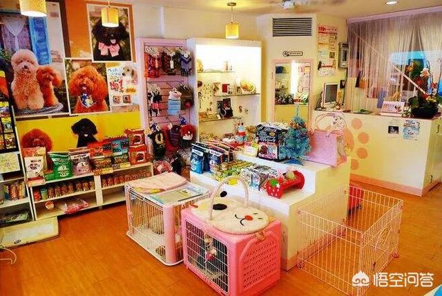 宠物店管理系统介绍:宠物店怎么对员工进行系统的培训？