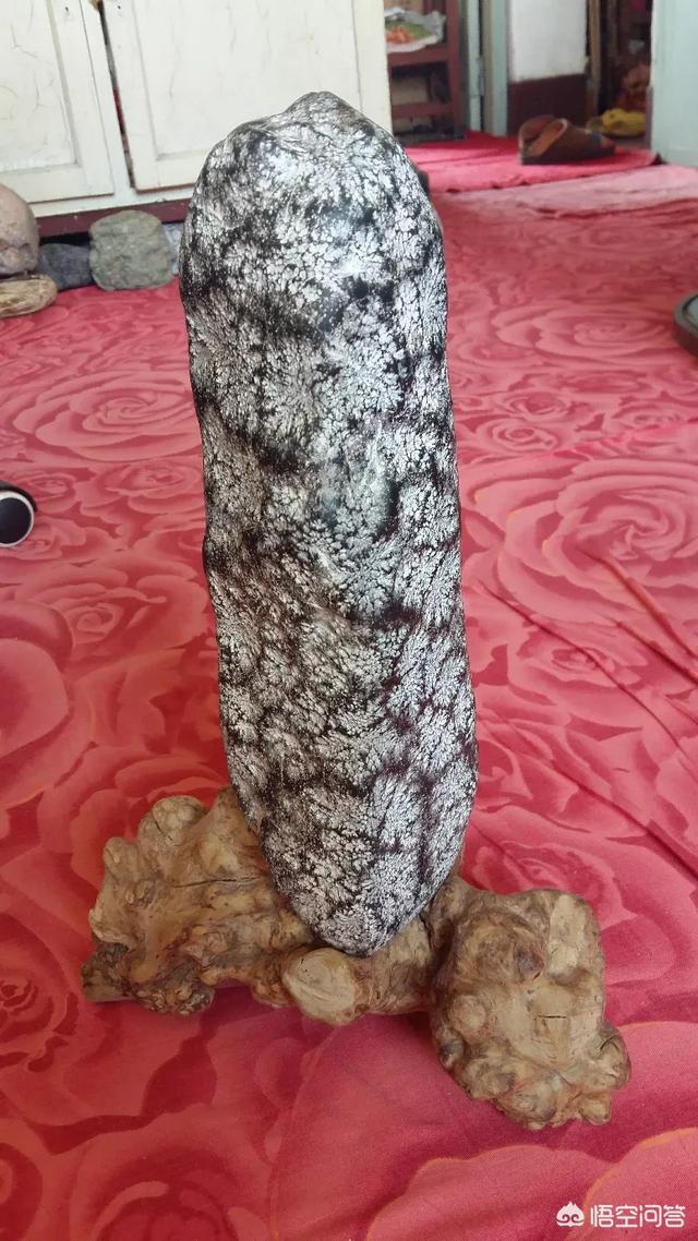 把你收藏的最好的天然奇石发出来让大伙开开眼,交流评比一下行吗？
