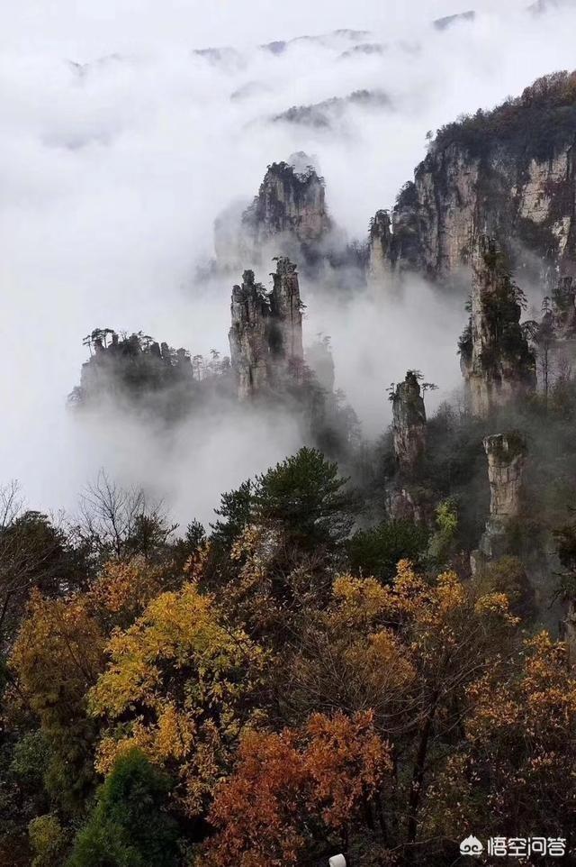 高中毕业,选择放弃大学,走向社会,适合做什么工作？