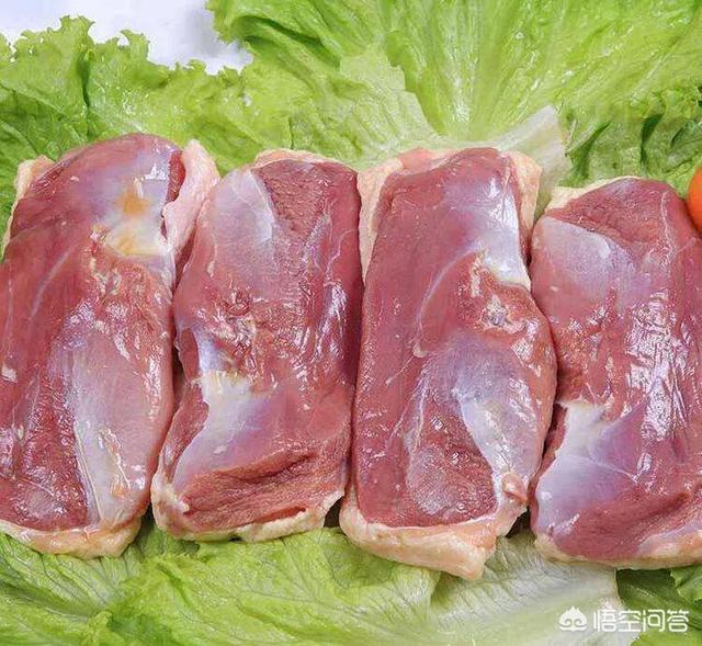 狗粮的制作方法视频:请问养狗狗的朋友，泰迪吃什么东西能代替狗粮？