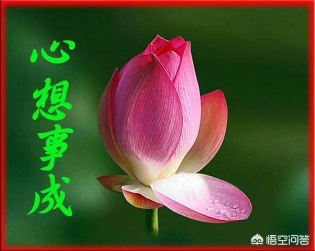 两人开始在一起就知道不会有结果,却喜欢着对方,这样的爱情有意义吗？