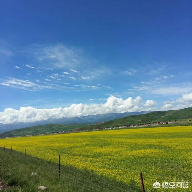 钓鱼猫现身柬埔寨网易:你今年有旅行计划吗，打算去哪里玩呢？