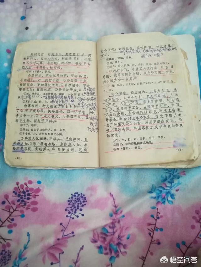 《三字经》是传统文化的经典,你能说说它的经典之处吗？