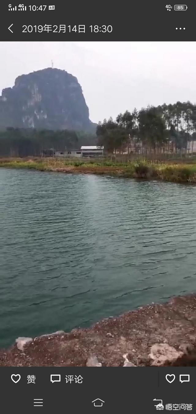 快放假了,我要去农村,静听山野的呼唤,走在美丽乡间的小路上,你们来吗？