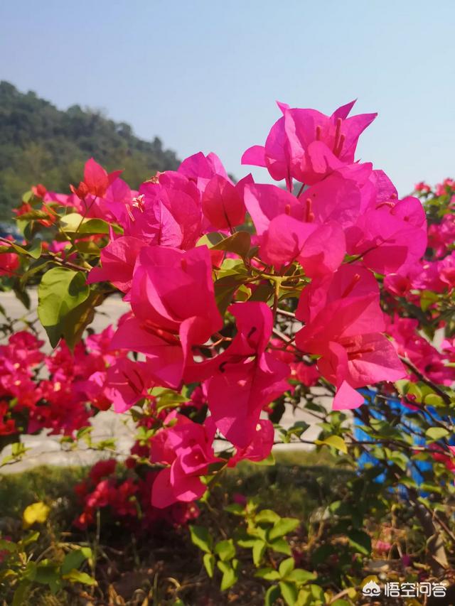 微信能赚钱的小程序:小程序现如今相当的火爆，而我们该如何让利用小程序去赚钱呢？(小程序怎么赚钱)
