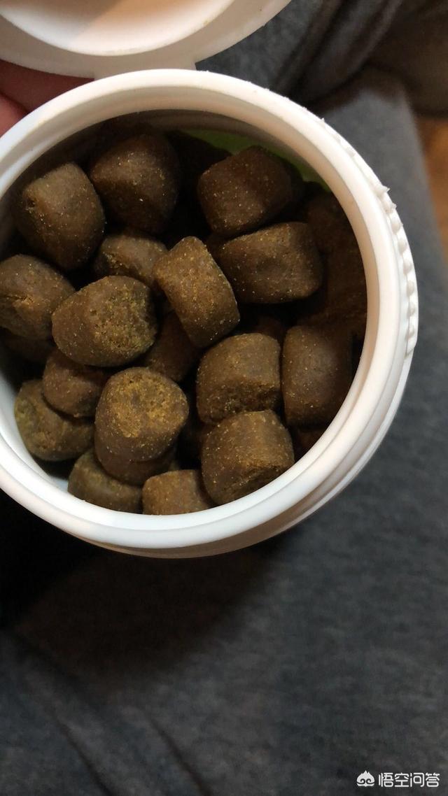 苏州萨摩耶论坛:萨摩耶髋关节发育不好吃什么药？