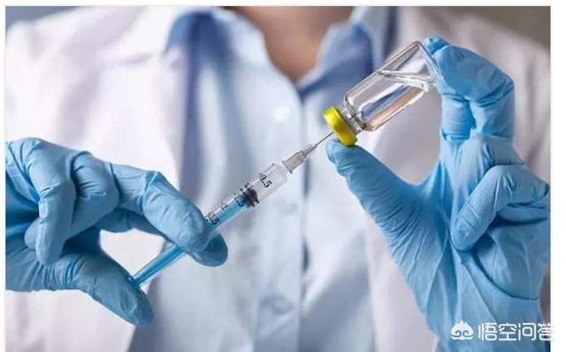 猫爪上狂犬疫苗多长时间内打:被宠物抓伤能用创可贴吗？要去打狂犬疫苗吗？