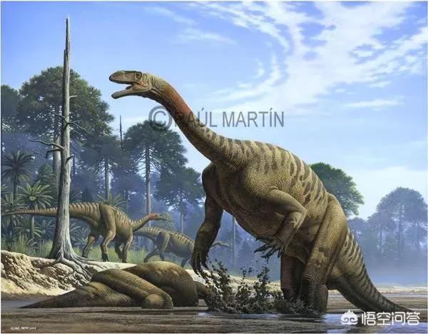中国第一个发现活恐龙的人，中国有什么著名的恐龙发现地发现什么恐龙