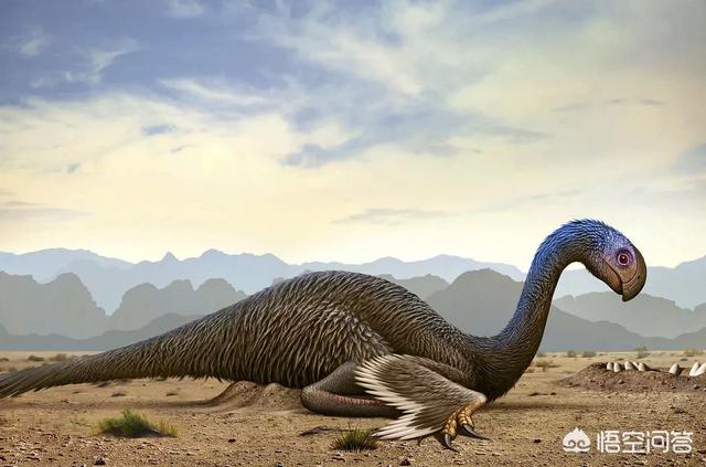中国发现活恐龙是真的吗，中国历史上真的有龙吗为什么那么多史书文献都有记载龙