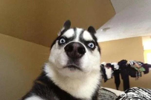 讲一讲你们做电商的经历有哪些？