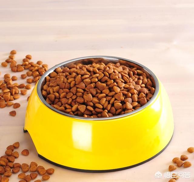 国产猫粮品牌排行榜国产:国产成猫粮哪个好？进口的会不会更好？