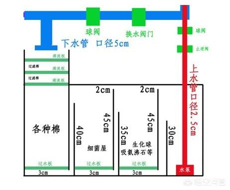 生化棉 生化环:鱼缸过滤棉长青苔对过滤水质有影响吗？