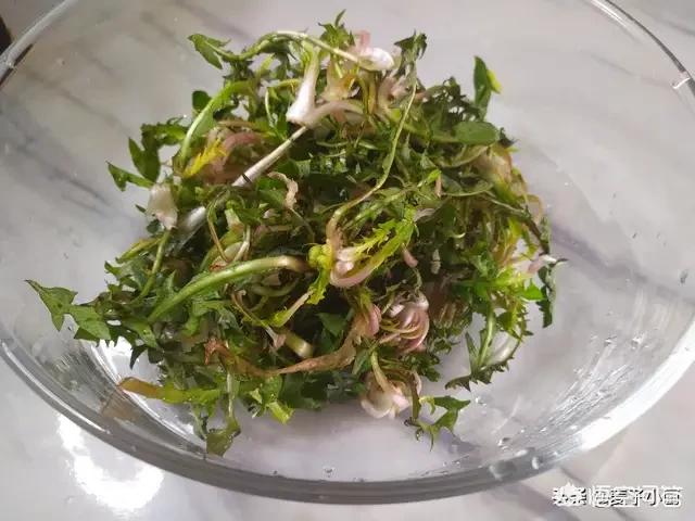 农村地里的野菜,你小时候吃过没有？都是怎么做着吃的？